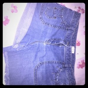 Summer fun Loft shorts